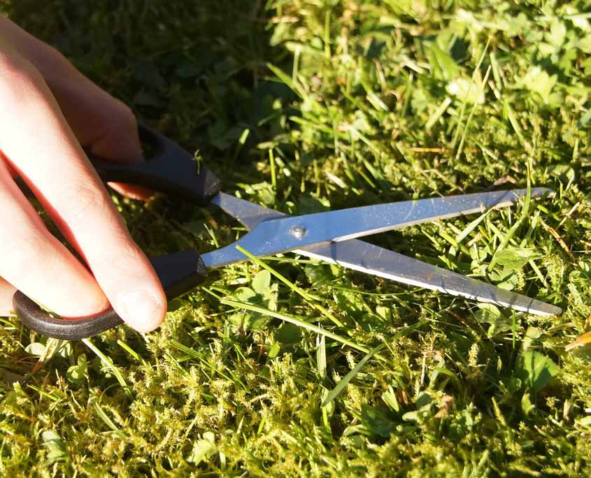 Grünanlagenpflege Grünanlagenpflege